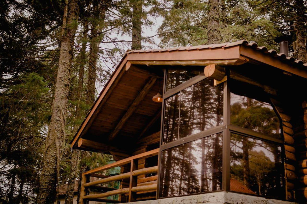 Hotel Refugio Do Caracol Chales Canela Zewnętrze zdjęcie